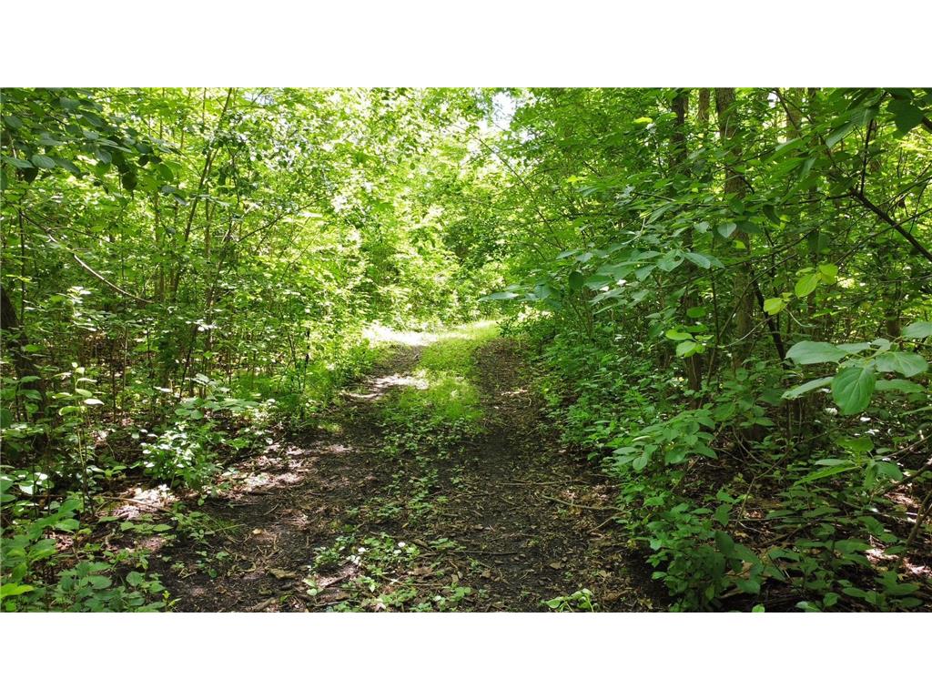 TBD W 2nd Street Pillager MN 56473 - Crow Wing River 6751872 image14