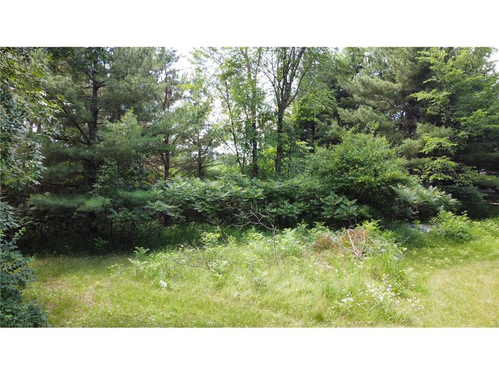 TBD W 2nd Street Pillager MN 56473 - Crow Wing River 6751872 image18