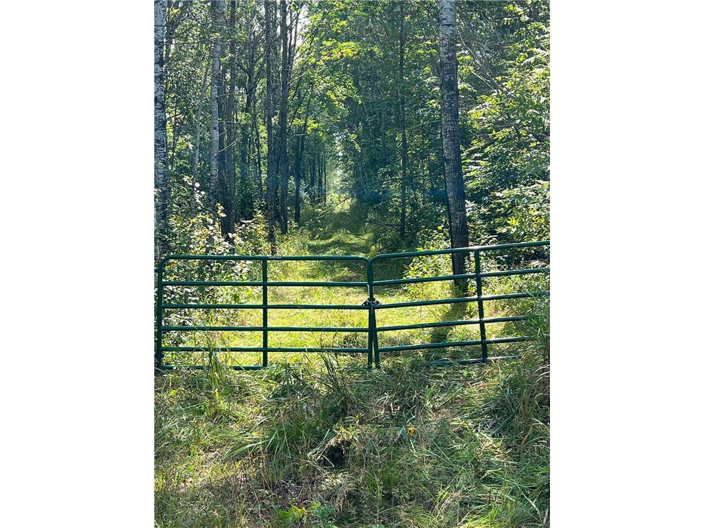 TBD W County Road 3 Ray MN 56669 6791696 image1