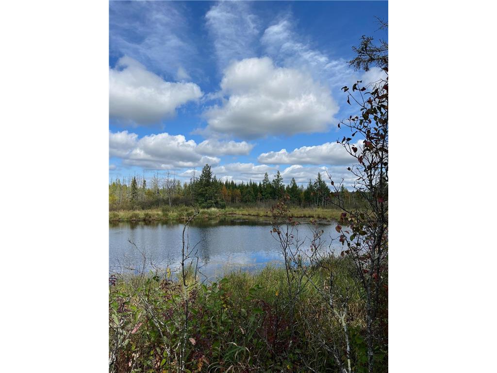 TBD W County Road 3 Ray MN 56669 6791696 image10