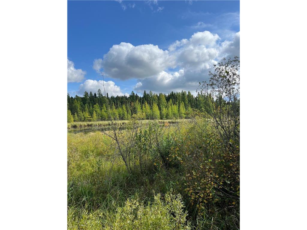 TBD W County Road 3 Ray MN 56669 6791696 image11