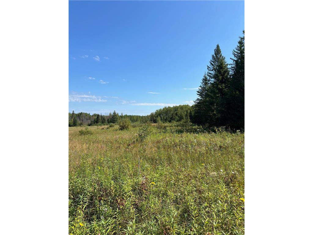 TBD W County Road 3 Ray MN 56669 6791696 image12