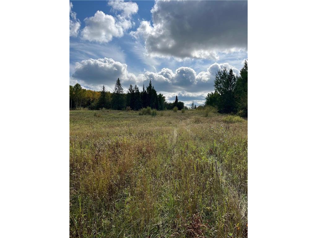 TBD W County Road 3 Ray MN 56669 6791696 image13