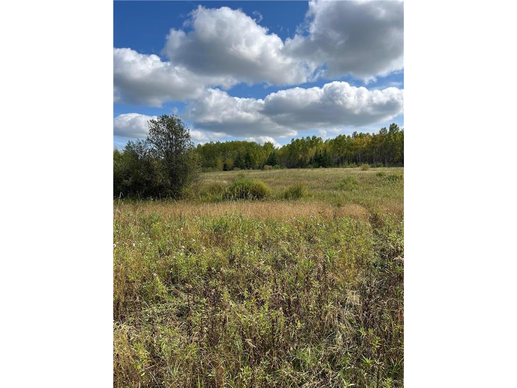 TBD W County Road 3 Ray MN 56669 6791696 image14