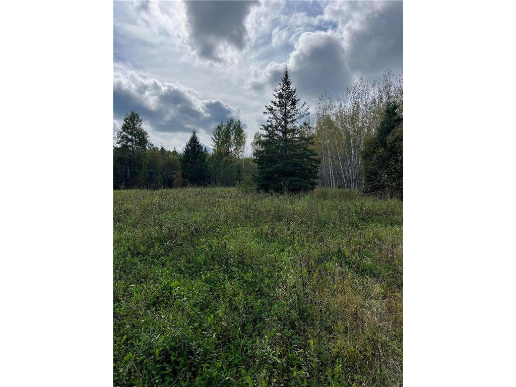 TBD W County Road 3 Ray MN 56669 6791696 image15