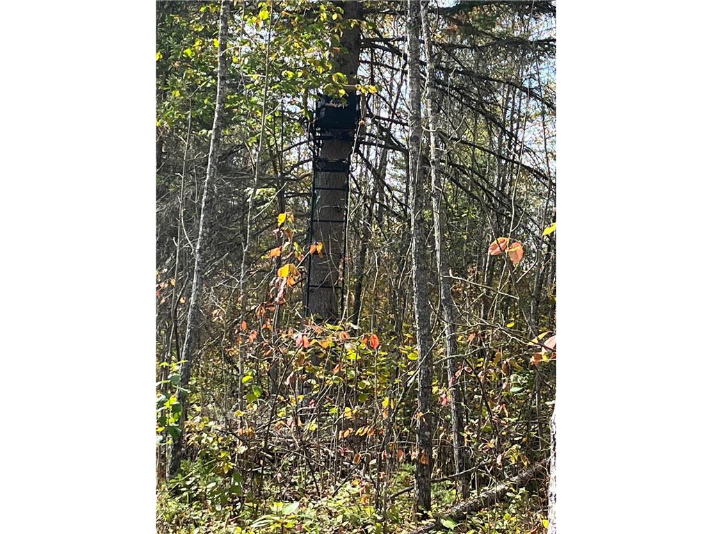 TBD W County Road 3 Ray MN 56669 6791696 image17