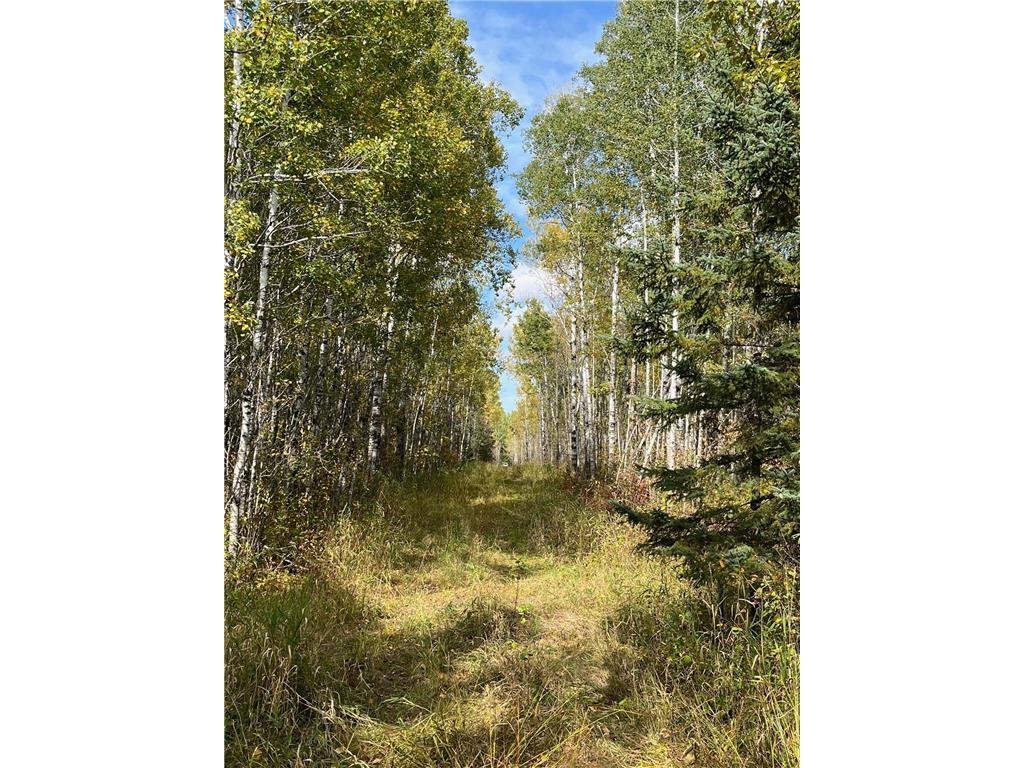 TBD W County Road 3 Ray MN 56669 6791696 image2