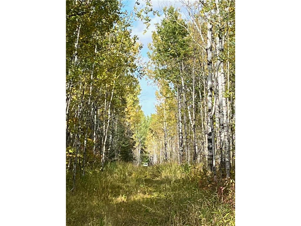 TBD W County Road 3 Ray MN 56669 6791696 image3