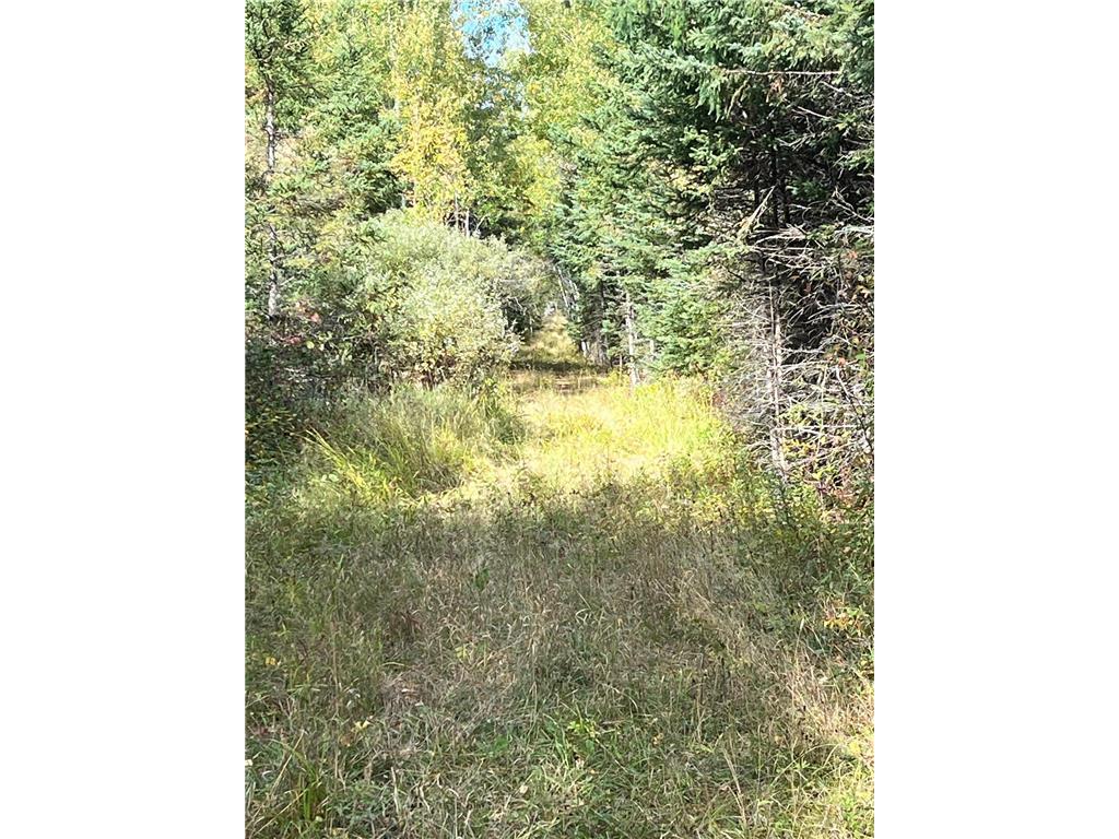 TBD W County Road 3 Ray MN 56669 6791696 image4