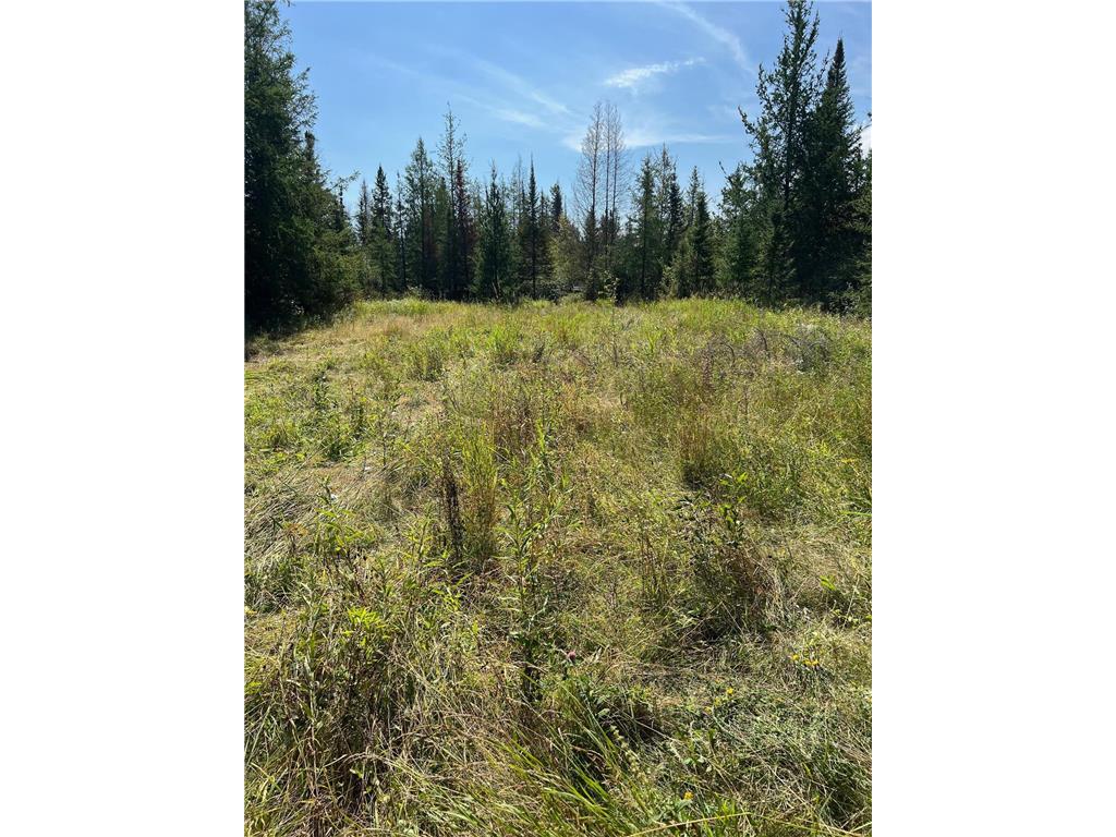 TBD W County Road 3 Ray MN 56669 6791696 image5