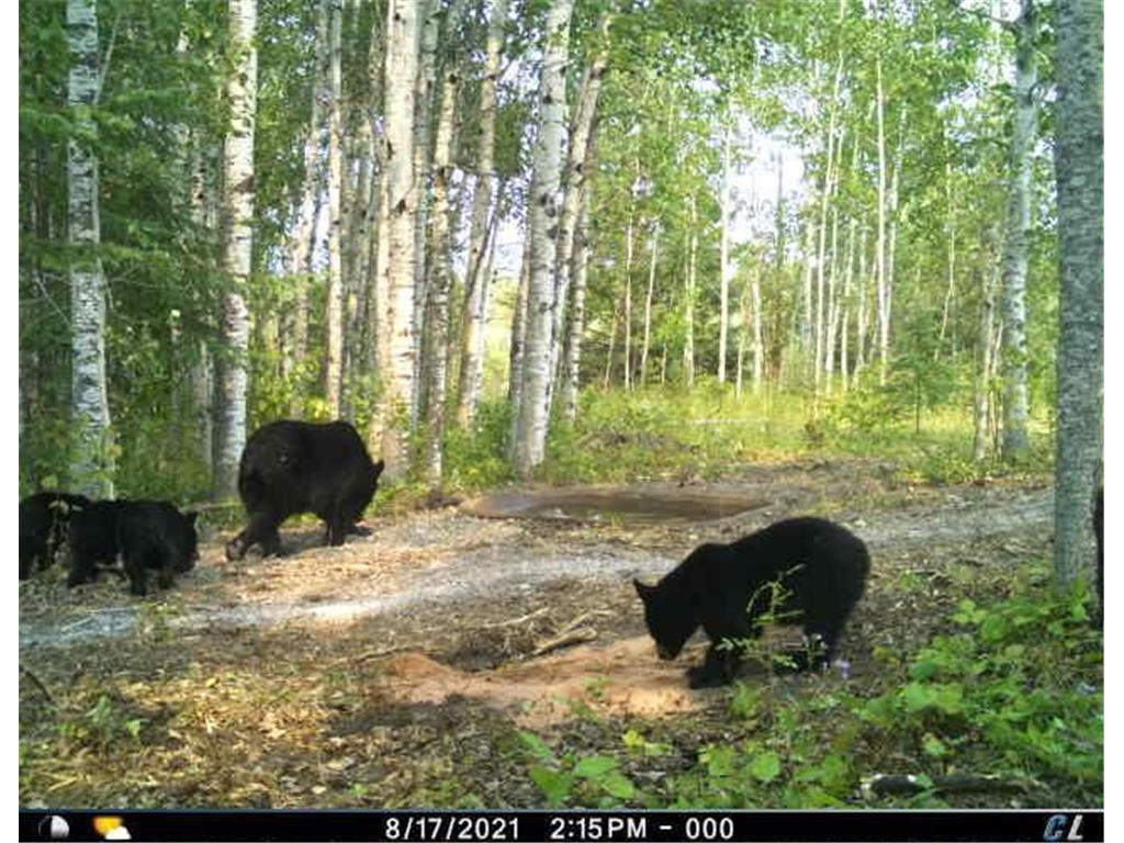 TBD W County Road 3 Ray MN 56669 6791696 image7