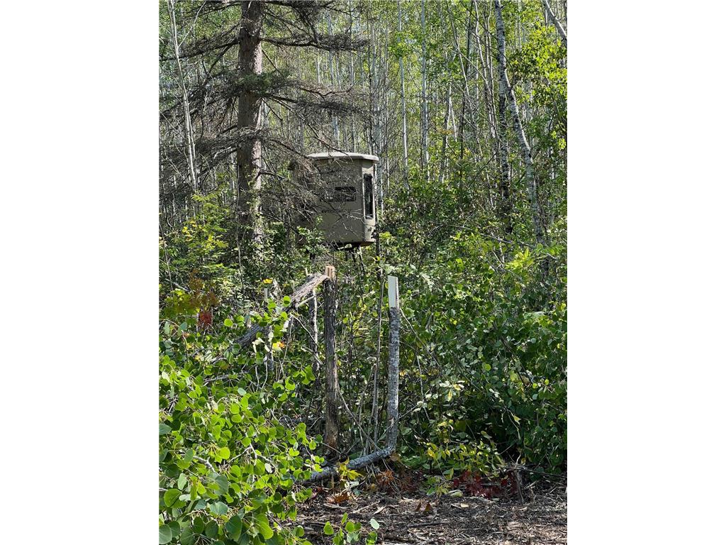 TBD W County Road 3 Ray MN 56669 6791696 image8