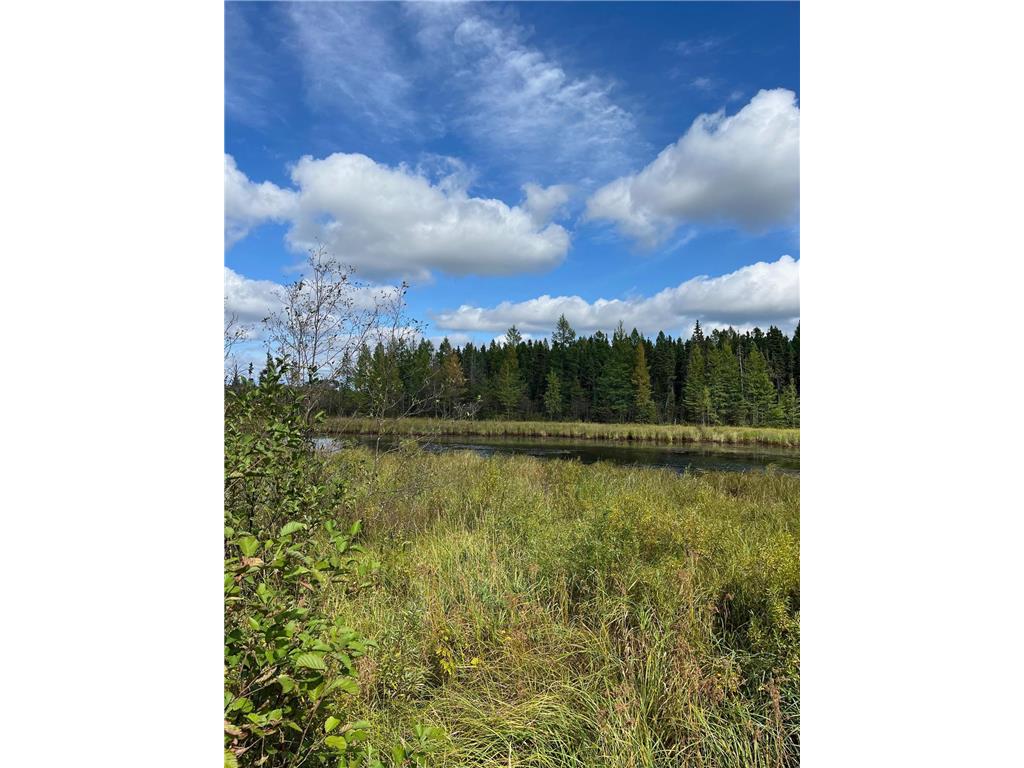 TBD W County Road 3 Ray MN 56669 6791696 image9