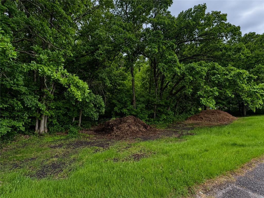 TBD W Lake Ida Lane Pelican Rapids MN 56572 7052119 image20