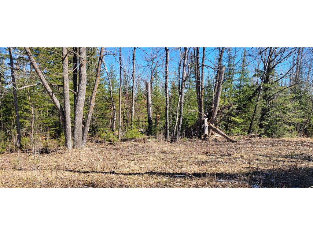 TBD W Northstar Lake Rd Marcell MN 56657 - North Star 6693385 image4