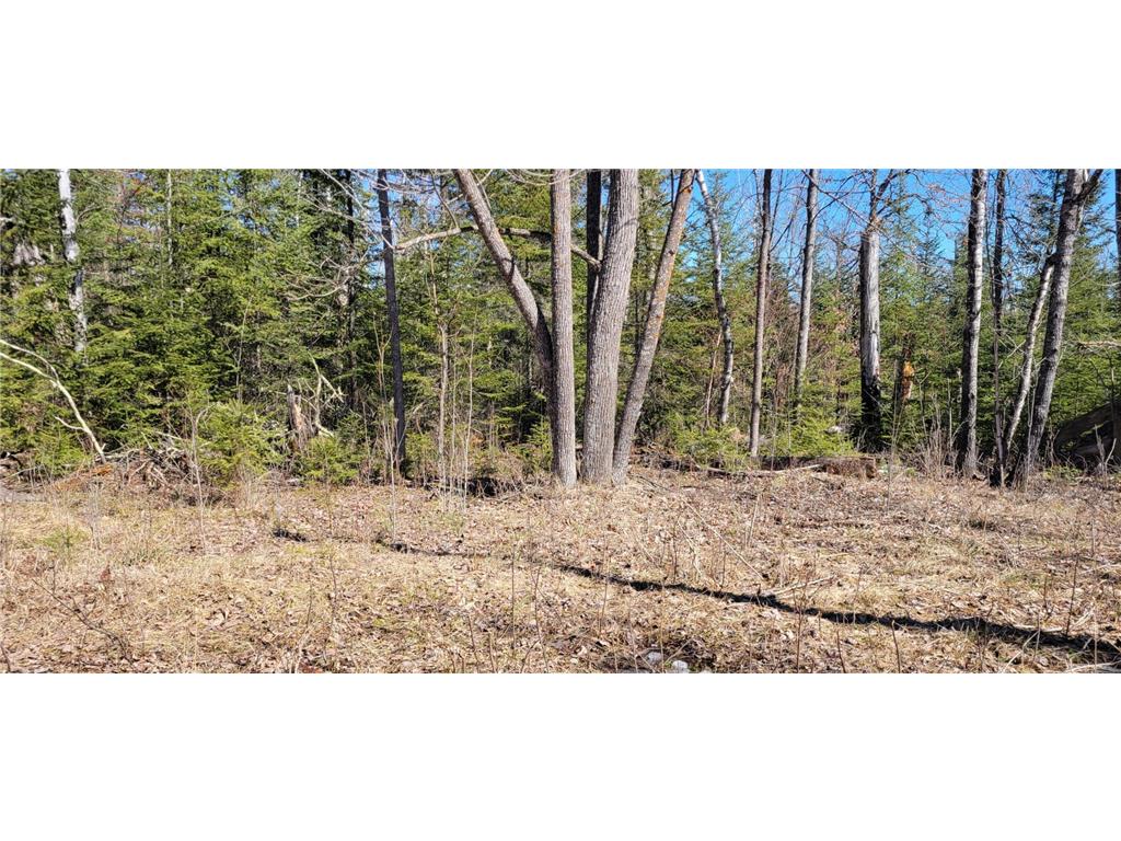 TBD W Northstar Lake Rd Marcell MN 56657 - North Star 6693385 image5