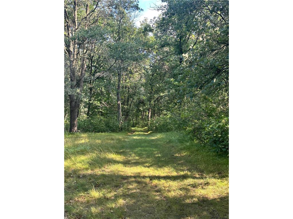 TBD W Stocking Drive Menahga MN 56464 7042954 image11