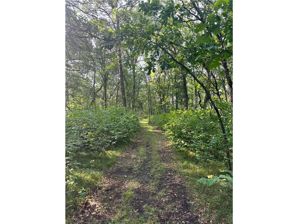 TBD W Stocking Drive Menahga MN 56464 7042954 image12