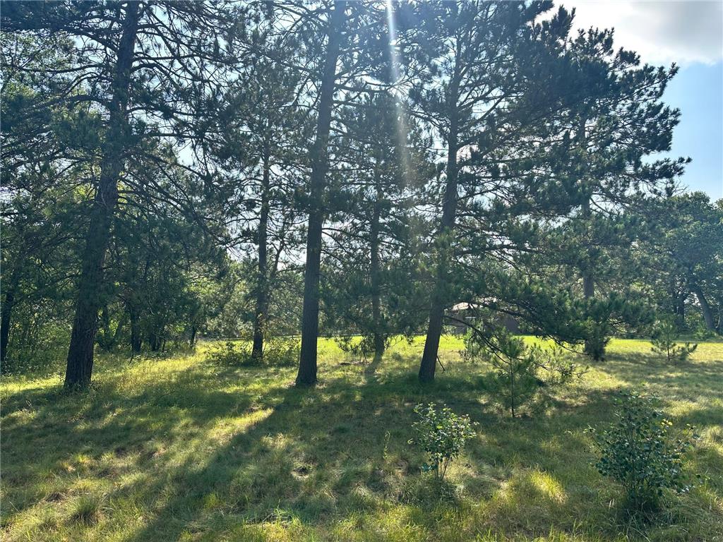 TBD W Stocking Drive Menahga MN 56464 7042954 image13