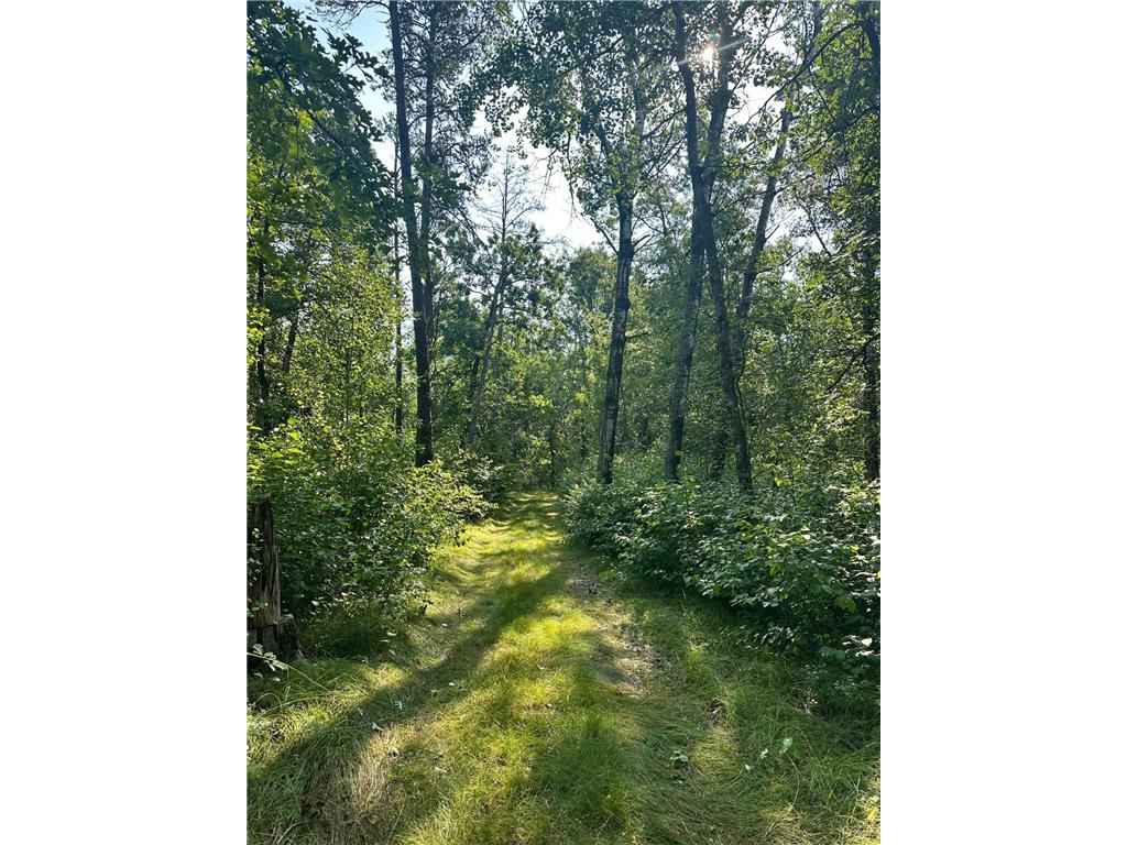 TBD W Stocking Drive Menahga MN 56464 7042954 image14