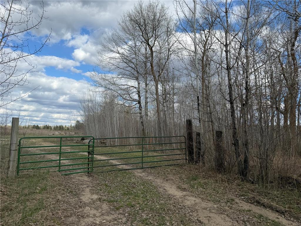 TBD Wadena Line Road Menahga MN 56464 7071392 image12
