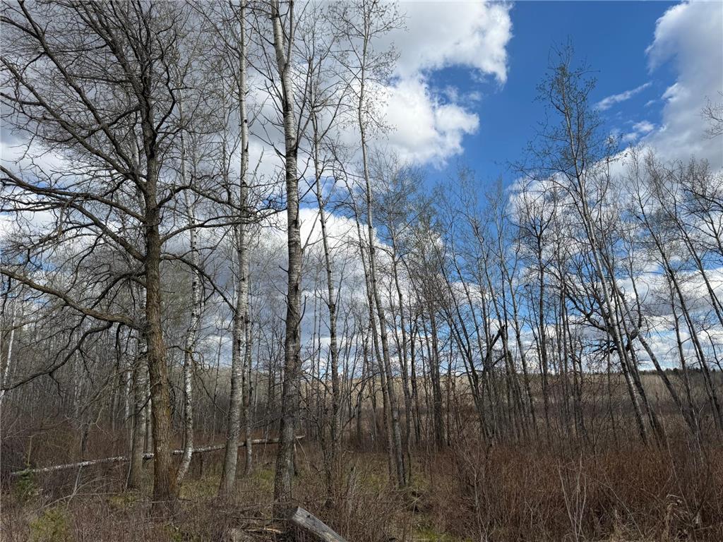 TBD Wadena Line Road Menahga MN 56464 7071392 image14