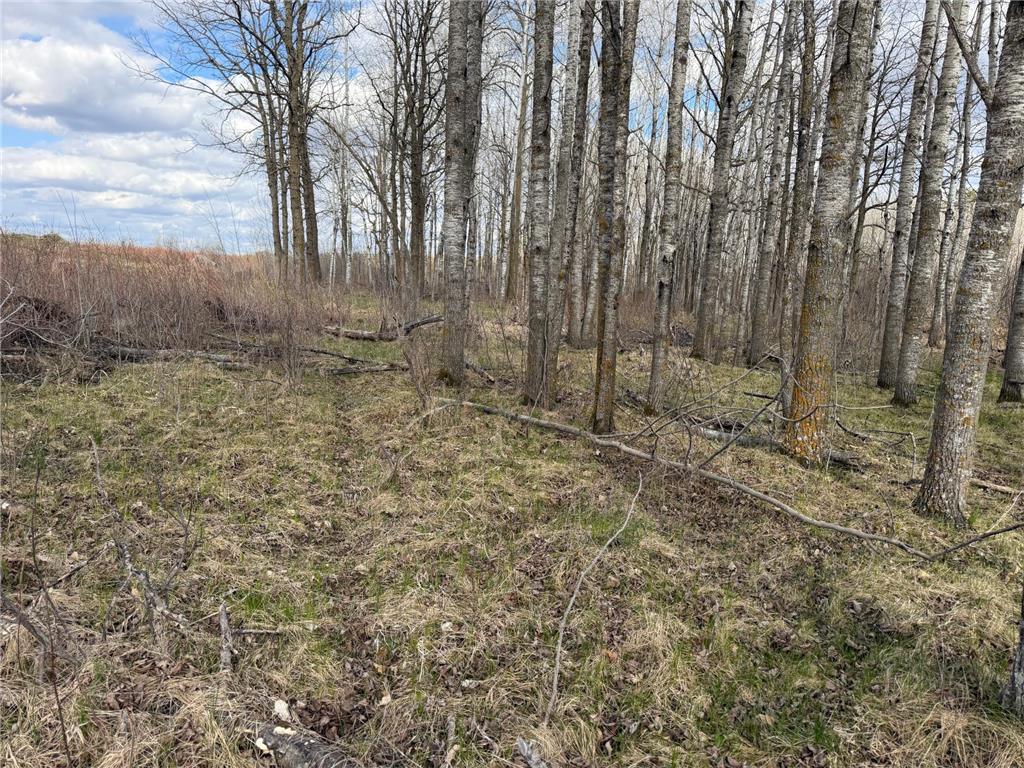 TBD Wadena Line Road Menahga MN 56464 7071392 image17