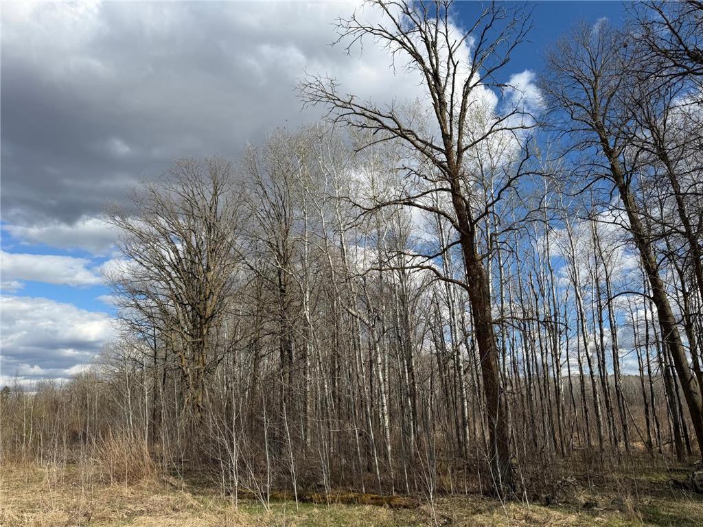 TBD Wadena Line Road Menahga MN 56464 7071392 image18