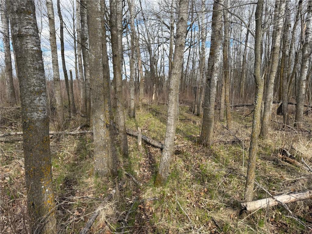 TBD Wadena Line Road Menahga MN 56464 7071392 image21