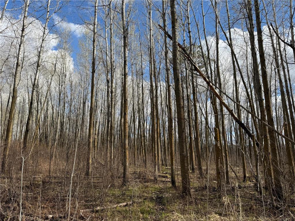 TBD Wadena Line Road Menahga MN 56464 7071392 image22