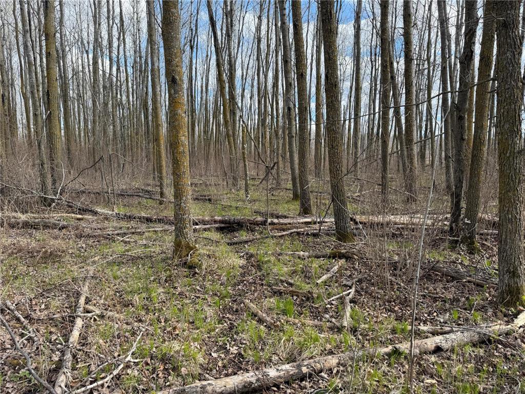 TBD Wadena Line Road Menahga MN 56464 7071392 image23