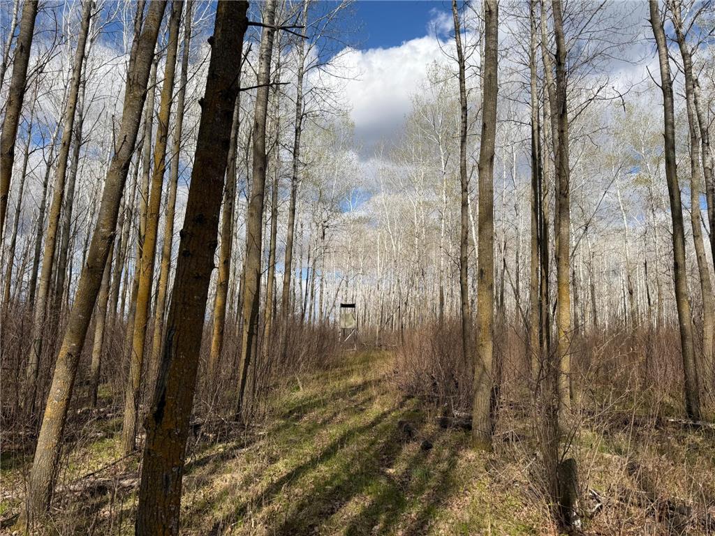 TBD Wadena Line Road Menahga MN 56464 7071392 image25