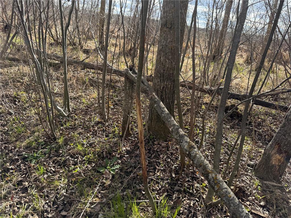 TBD Wadena Line Road Menahga MN 56464 7071392 image30