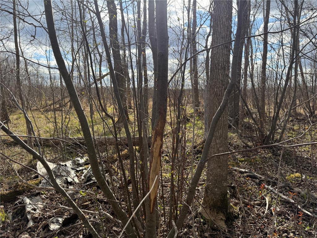 TBD Wadena Line Road Menahga MN 56464 7071392 image34