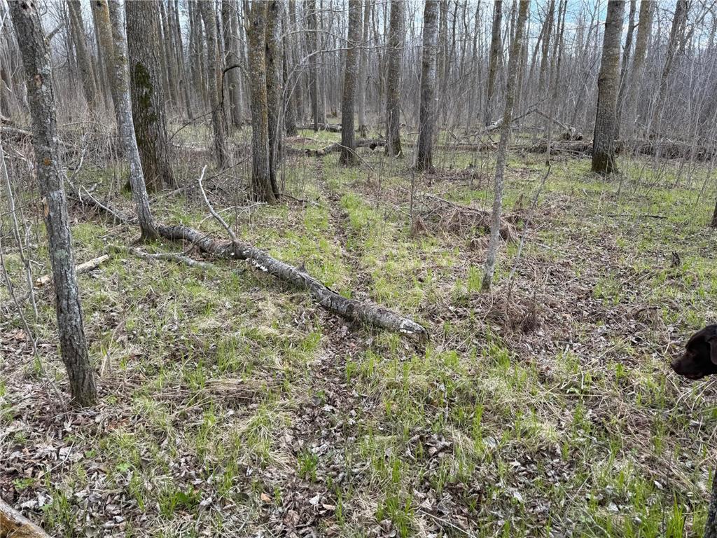 TBD Wadena Line Road Menahga MN 56464 7071392 image39