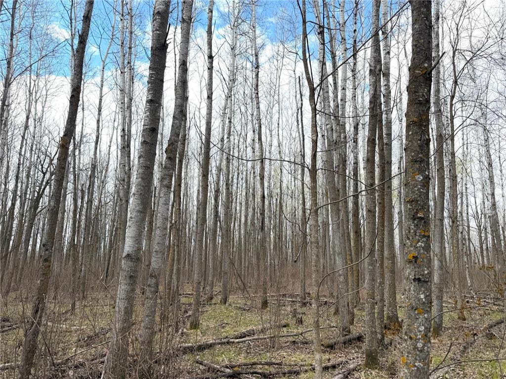 TBD Wadena Line Road Menahga MN 56464 7071392 image40