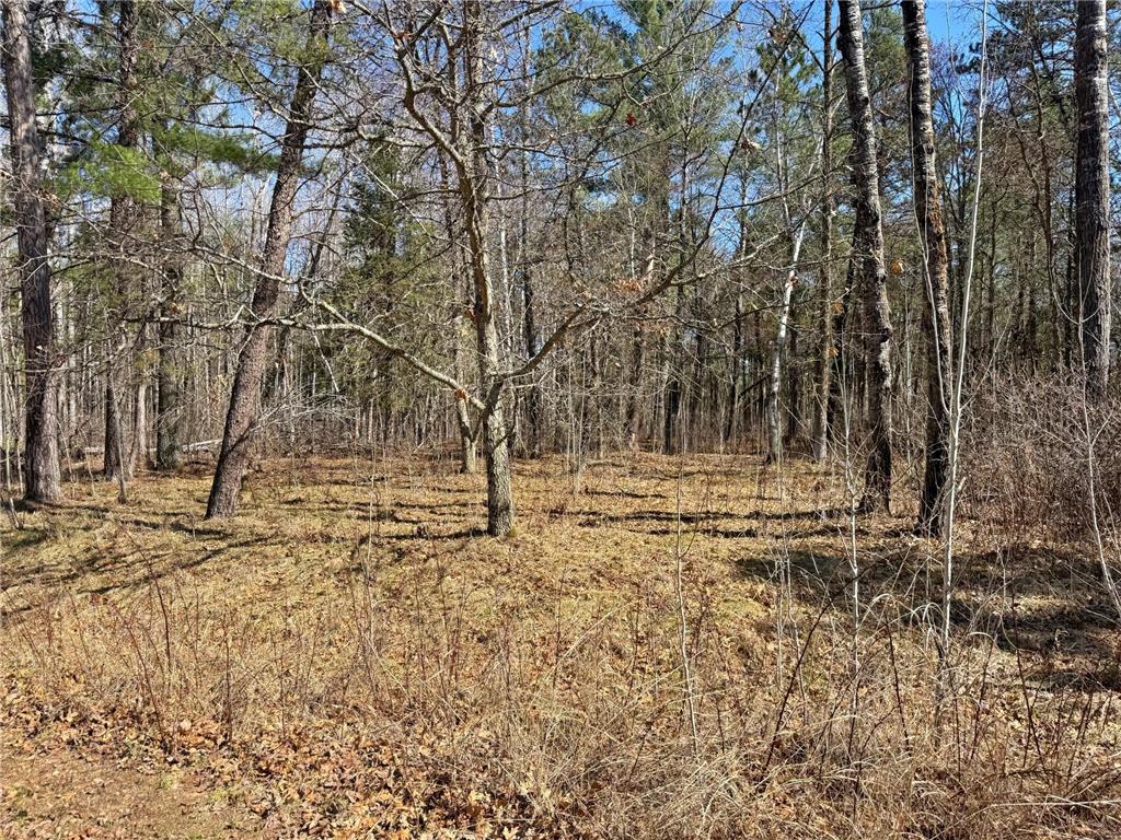 TBD Wall Street Crosslake MN 56442 7061589 image4