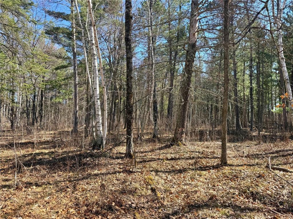 TBD Wall Street Crosslake MN 56442 7061589 image5