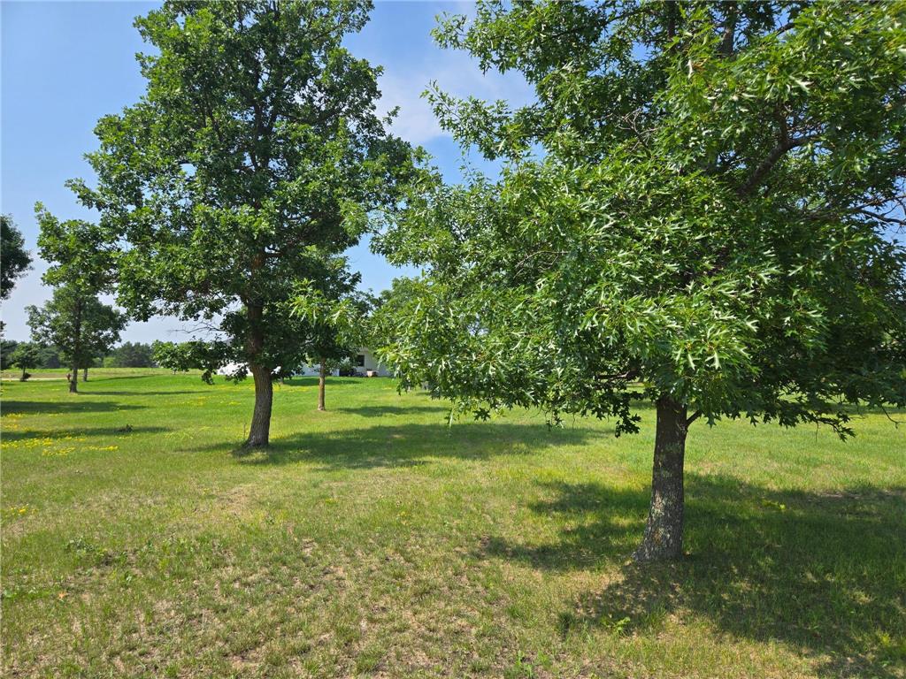 TBD Walnut Lane Park Rapids MN 56470 7103275 image3