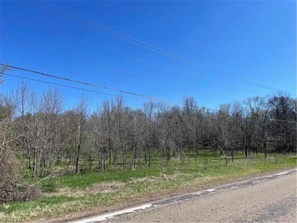 TBD Wealthy Street Albert Lea MN 56007 7061393 image1