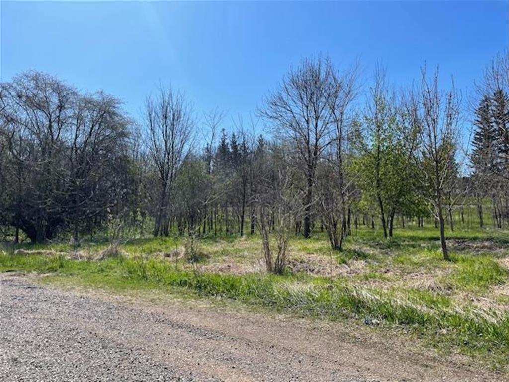 TBD Wealthy Street Albert Lea MN 56007 7061393 image2