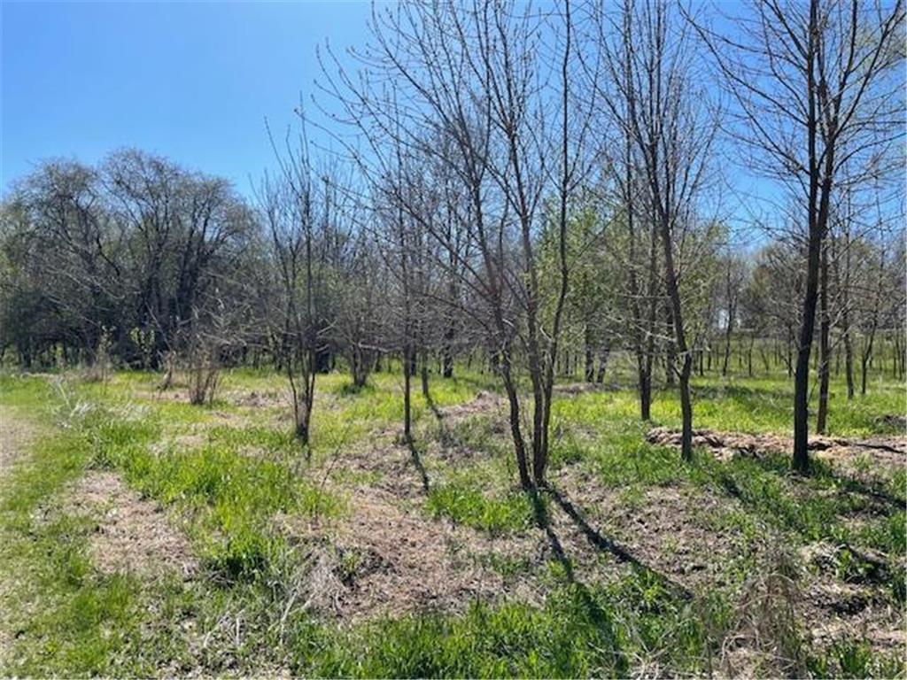 TBD Wealthy Street Albert Lea MN 56007 7061393 image3