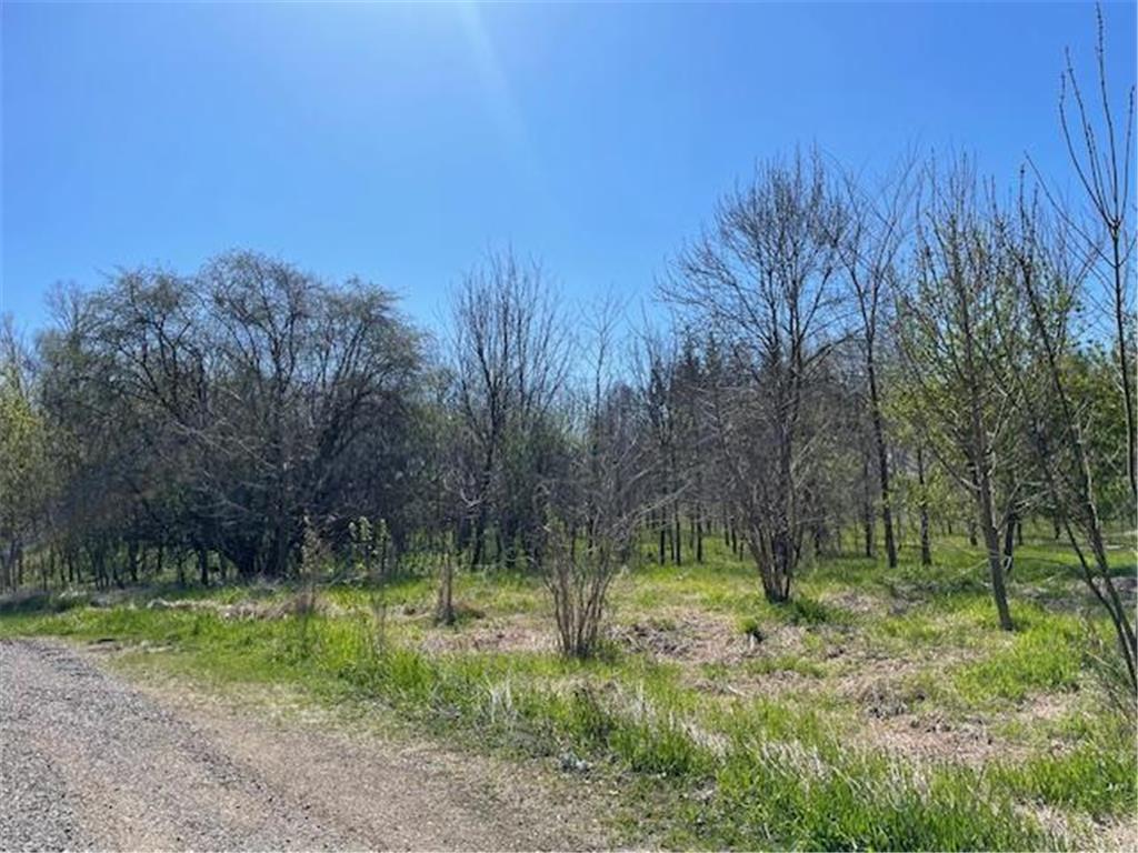 TBD Wealthy Street Albert Lea MN 56007 7061393 image4