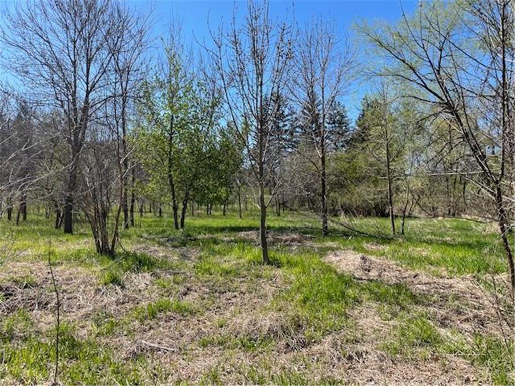 TBD Wealthy Street Albert Lea MN 56007 7061393 image5