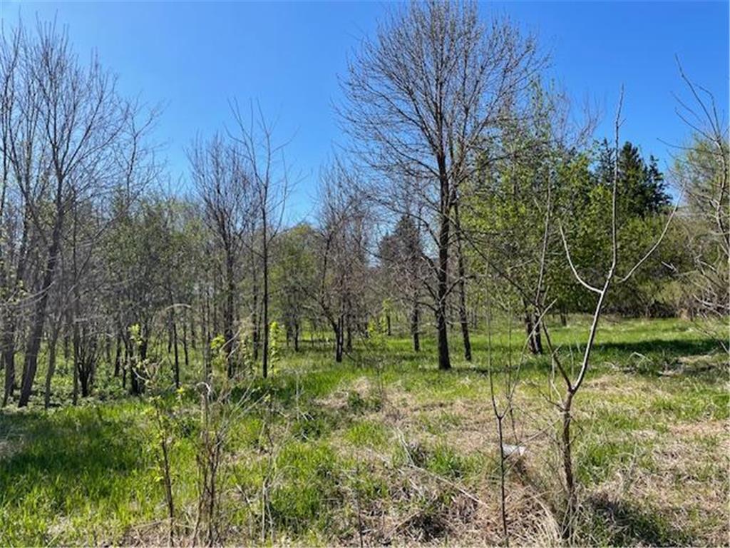 TBD Wealthy Street Albert Lea MN 56007 7061393 image6
