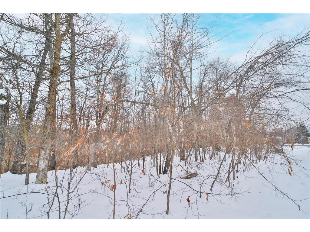 TBD Weaver Point Road Breezy Point MN 56472 7017771 image10