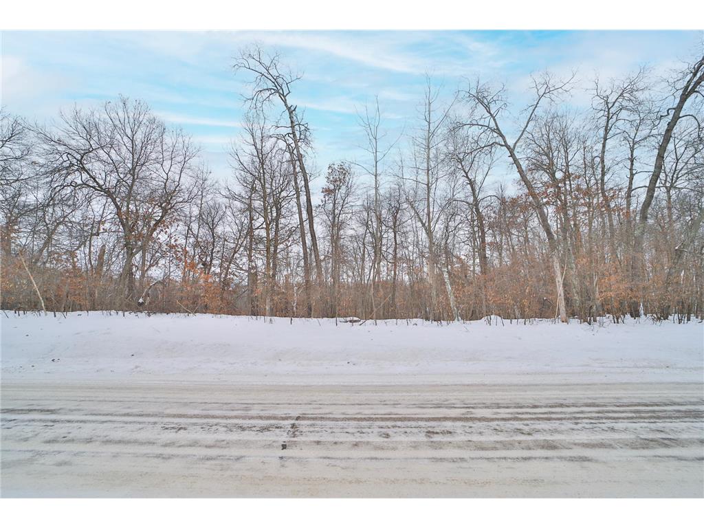 TBD Weaver Point Road Breezy Point MN 56472 7017771 image4