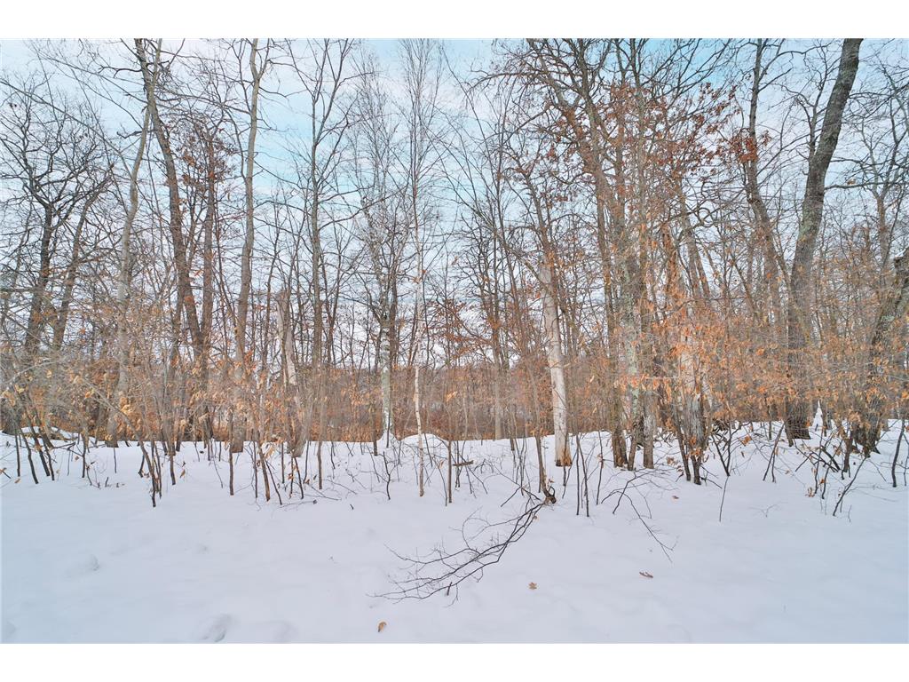 TBD Weaver Point Road Breezy Point MN 56472 7017771 image6