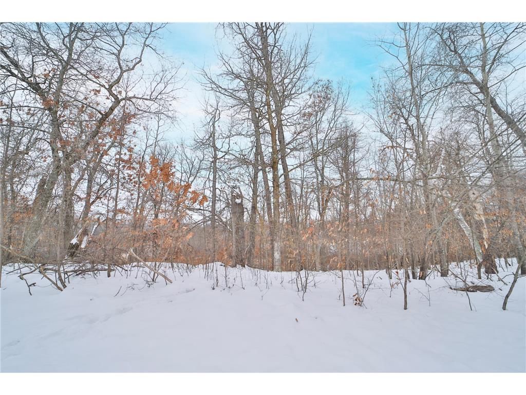 TBD Weaver Point Road Breezy Point MN 56472 7017771 image7