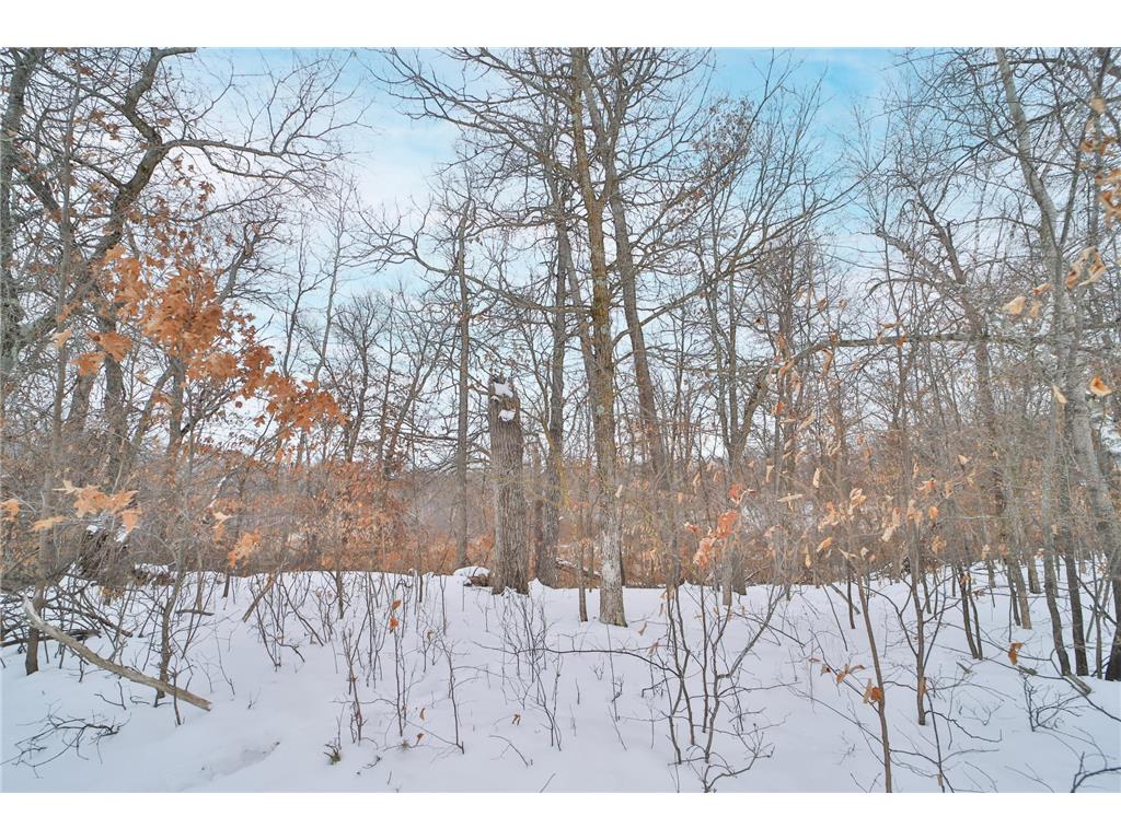 TBD Weaver Point Road Breezy Point MN 56472 7017771 image9